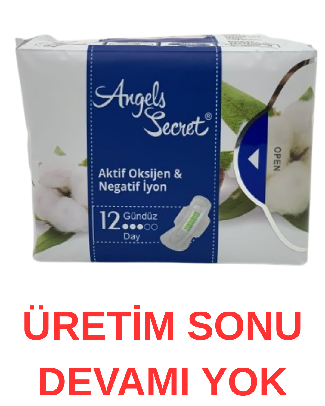 Angels Secret Gündüz Hijyenik Ped 12li