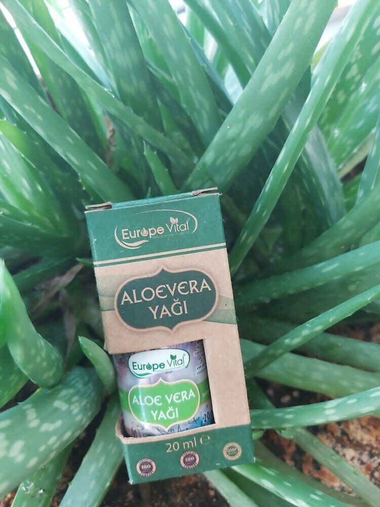 Europe Vital Aloe Vera Yağı 20ml